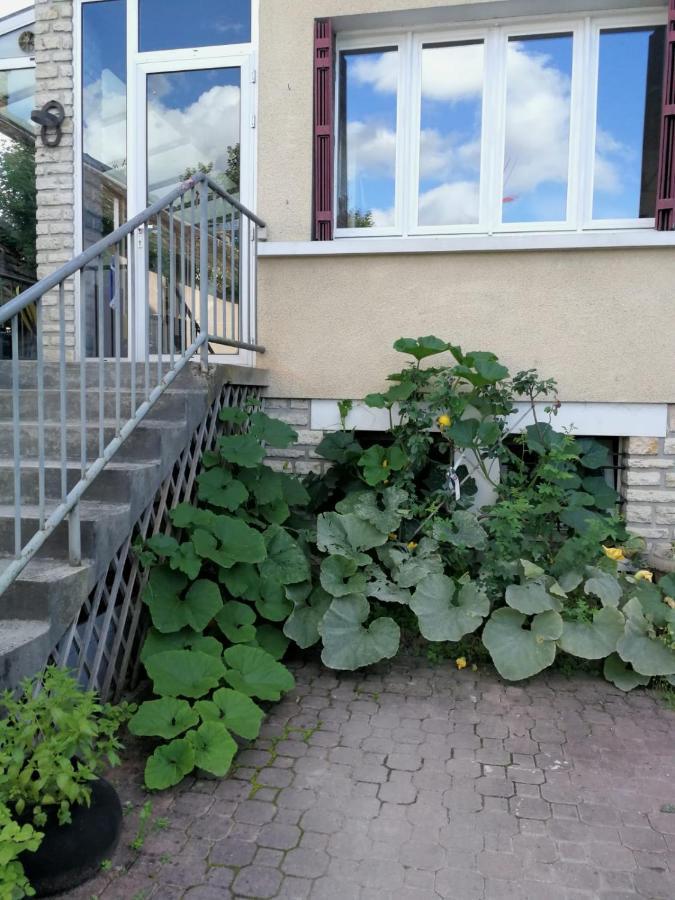 Un Verger Dans La Ville Saint-Parres-aux-Tertres Екстериор снимка