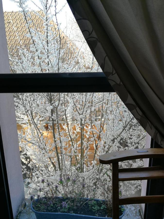 Un Verger Dans La Ville Saint-Parres-aux-Tertres Екстериор снимка
